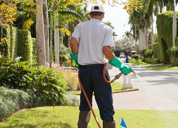 About Scarborough ME Pest Control Pros